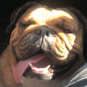 Meet your Posher, Richard